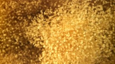 Buğday filizleri düşer ve uçar. 1000 fps 'de yüksek hızlı bir kamerayla çekildi. Yüksek kaliteli FullHD görüntüler