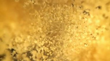 Buğday filizleri düşer ve uçar. 1000 fps 'de yüksek hızlı bir kamerayla çekildi. Yüksek kaliteli FullHD görüntüler