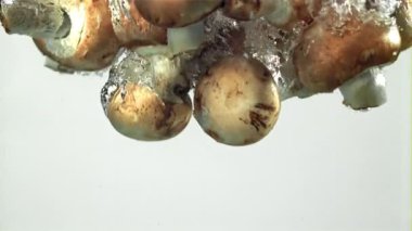 Mantarlar suyun altına düşer. 1000 fps 'de yüksek hızlı bir kamerayla çekildi. Yüksek kaliteli FullHD görüntüler