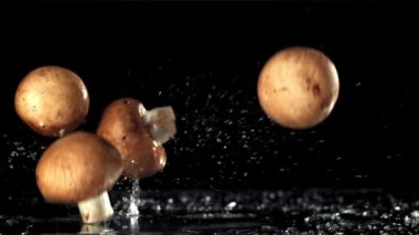 Mantarlar ıslak masaya düşer. 1000 fps 'de yüksek hızlı bir kamerayla çekildi. Yüksek kaliteli FullHD görüntüler