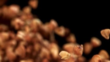 Karabuğday uçar ve düşer. 1000 fps 'de yüksek hızlı bir kamerayla çekildi. Yüksek kaliteli FullHD görüntüler