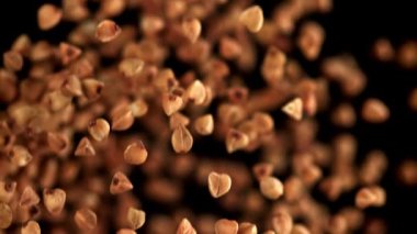 Karabuğday uçar ve düşer. 1000 fps 'de yüksek hızlı bir kamerayla çekildi. Yüksek kaliteli FullHD görüntüler