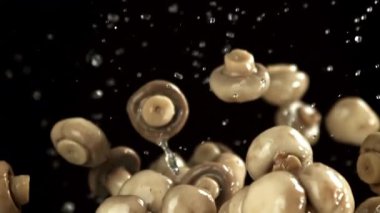 Mantar turşusu uçar ve siyah arka plana düşer. 1000 fps 'de yüksek hızlı bir kamerayla çekildi. Yüksek kaliteli FullHD görüntüler