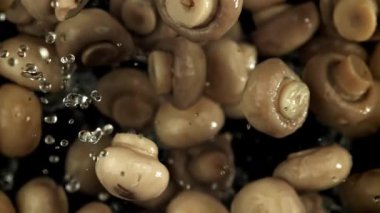 Mantar turşusu uçar ve siyah arka plana düşer. 1000 fps 'de yüksek hızlı bir kamerayla çekildi. Yüksek kaliteli FullHD görüntüler