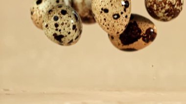 Bıldırcın yumurtaları ıslak masaya düşer. 1000 fps 'de yüksek hızlı bir kamerayla çekildi. Yüksek kaliteli FullHD görüntüler