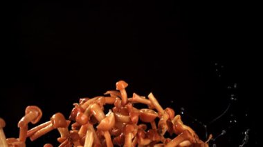 Siyah arka planda ballı mantar turşusu. 1000 fps 'de yüksek hızlı bir kamerayla çekildi. Yüksek kaliteli FullHD görüntüler