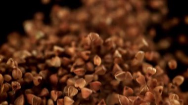 Karabuğday uçar ve düşer. 1000 fps 'de yüksek hızlı bir kamerayla çekildi. Yüksek kaliteli FullHD görüntüler