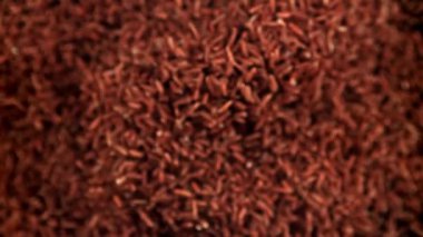 Kırmızı pirinç yukarı uçar ve düşer. 1000 fps 'de yüksek hızlı bir kamerayla çekildi. Yüksek kaliteli FullHD görüntüler