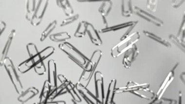 Ataçlar uçar ve düşer. 1000 fps 'de yüksek hızlı bir kamerayla çekildi. Yüksek kaliteli FullHD görüntüler