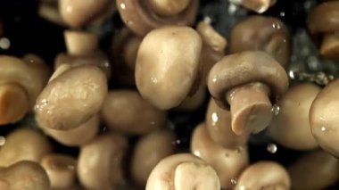 Mantar turşusu uçar ve siyah arka plana düşer. 1000 fps 'de yüksek hızlı bir kamerayla çekildi. Yüksek kaliteli FullHD görüntüler