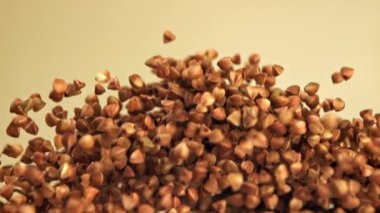 Karabuğday uçar ve düşer. 1000 fps 'de yüksek hızlı bir kamerayla çekildi. Yüksek kaliteli FullHD görüntüler