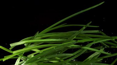 Yeşil soğanlar uçar ve siyah arka planda düşerler. 1000 fps 'de yüksek hızlı bir kamerayla çekildi. Yüksek kaliteli FullHD görüntüler