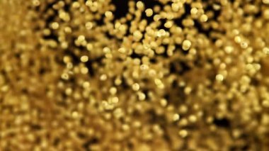 Millet inliyor, karanlık bir arka plana doğru uçuyor. 1000 fps 'de yüksek hızlı bir kamerayla çekildi. Yüksek kaliteli FullHD görüntüler