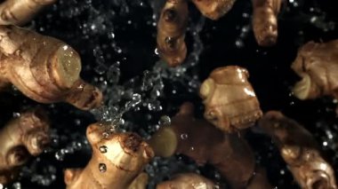 Zencefil yukarı uçar ve siyah bir zemine düşer. 1000 fps 'de yüksek hızlı bir kamerayla çekildi. Yüksek kaliteli FullHD görüntüler