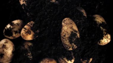 Patatesler uçar ve yere düşer. 1000 fps 'de yüksek hızlı bir kamerayla çekildi. Yüksek kaliteli FullHD görüntüler