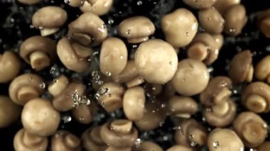 Mantar turşusu uçar ve siyah arka plana düşer. 1000 fps 'de yüksek hızlı bir kamerayla çekildi. Yüksek kaliteli FullHD görüntüler