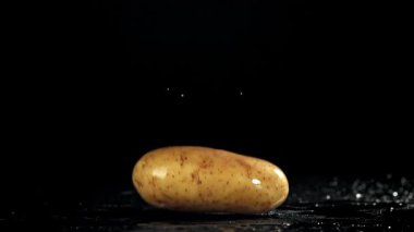 Taze patatesler masaya düşer. 1000 fps 'de yüksek hızlı bir kamerayla çekildi. Yüksek kaliteli FullHD görüntüler