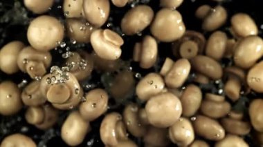 Mantar turşusu uçar ve siyah arka plana düşer. 1000 fps 'de yüksek hızlı bir kamerayla çekildi. Yüksek kaliteli FullHD görüntüler