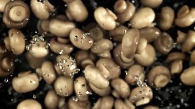 Mantar turşusu uçar ve siyah arka plana düşer. 1000 fps 'de yüksek hızlı bir kamerayla çekildi. Yüksek kaliteli FullHD görüntüler