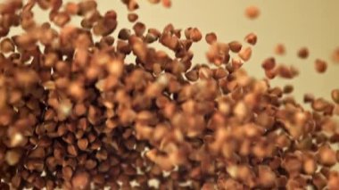 Karabuğday uçar ve düşer. 1000 fps 'de yüksek hızlı bir kamerayla çekildi. Yüksek kaliteli FullHD görüntüler