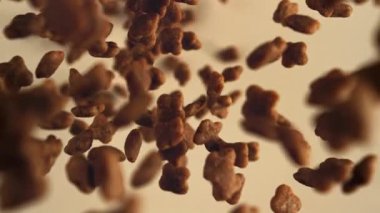 Köpek maması yukarı aşağı uçar. 1000 fps 'de yüksek hızlı bir kamerayla çekildi. Yüksek kaliteli FullHD görüntüler