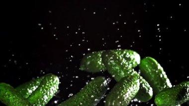 Salatalıklar yukarı uçar ve siyah bir zemine düşerler. 1000 fps 'de yüksek hızlı bir kamerayla çekildi. Yüksek kaliteli FullHD görüntüler