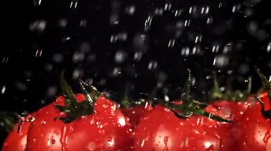 Su damlacıkları domateslerin üzerine düşer. 1000 fps 'de yüksek hızlı bir kamerayla çekildi. Yüksek kaliteli FullHD görüntüler