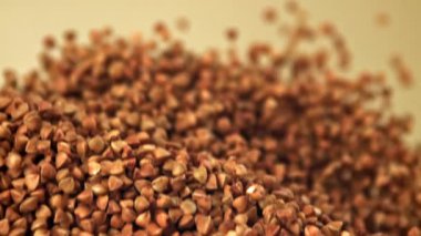 Karabuğday uçar ve düşer. 1000 fps 'de yüksek hızlı bir kamerayla çekildi. Yüksek kaliteli FullHD görüntüler