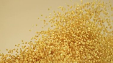 Millet homurdanıyor ve arka planda hafif bir düşüşe geçiyor. 1000 fps 'de yüksek hızlı bir kamerayla çekildi. Yüksek kaliteli FullHD görüntüler