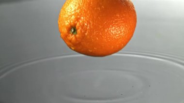 Bir portakal ıslak bir yüzeye düşer. 1000 fps 'de yüksek hızlı bir kamerayla çekildi. Yüksek kaliteli FullHD görüntüler