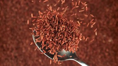 Kırmızı pirinç kaşıktan düşer. 1000 fps 'de yüksek hızlı bir kamerayla çekildi. Yüksek kaliteli FullHD görüntüler