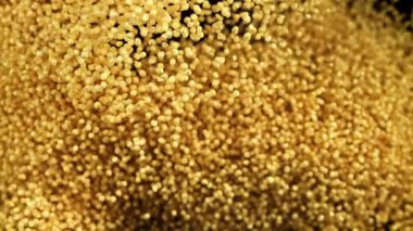 Millet inliyor, karanlık bir arka plana doğru uçuyor. 1000 fps 'de yüksek hızlı bir kamerayla çekildi. Yüksek kaliteli FullHD görüntüler