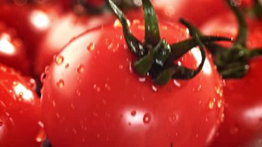 Domates ıslak bir masaya düşer. 1000 fps 'de yüksek hızlı bir kamerayla çekildi. Yüksek kaliteli FullHD görüntüler