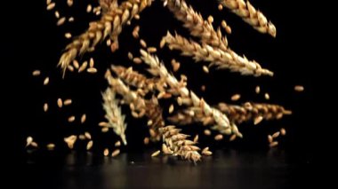 Dikenli taneler masaya düşer. 1000 fps 'de yüksek hızlı bir kamerayla çekildi. Yüksek kaliteli FullHD görüntüler