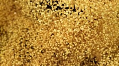 Millet inliyor, karanlık bir arka plana doğru uçuyor. 1000 fps 'de yüksek hızlı bir kamerayla çekildi. Yüksek kaliteli FullHD görüntüler