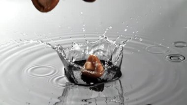 Turşulu süt mantarları ıslak bir yüzeye düşer. 1000 fps 'de yüksek hızlı bir kamerayla çekildi. Yüksek kaliteli FullHD görüntüler