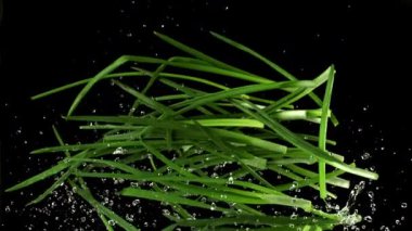 Yeşil soğanlar uçar ve siyah arka planda düşerler. 1000 fps 'de yüksek hızlı bir kamerayla çekildi. Yüksek kaliteli FullHD görüntüler