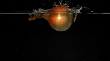 Soğanlar siyah arka planda suyun altına düşüyor. 1000 fps 'de yüksek hızlı bir kamerayla çekildi. Yüksek kaliteli FullHD görüntüler
