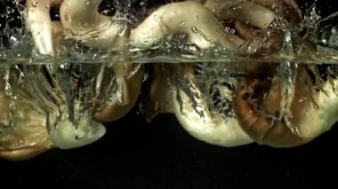 Siyah bir zemine düşen istiridye mantarı. 1000 fps 'de yüksek hızlı bir kamerayla çekildi. Yüksek kaliteli FullHD görüntüler