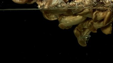 Siyah bir zemine düşen istiridye mantarı. 1000 fps 'de yüksek hızlı bir kamerayla çekildi. Yüksek kaliteli FullHD görüntüler