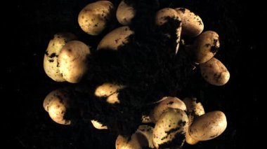 Patatesler uçar ve yere düşer. 1000 fps 'de yüksek hızlı bir kamerayla çekildi. Yüksek kaliteli FullHD görüntüler