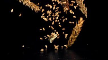 Dikenli taneler masaya düşer. 1000 fps 'de yüksek hızlı bir kamerayla çekildi. Yüksek kaliteli FullHD görüntüler