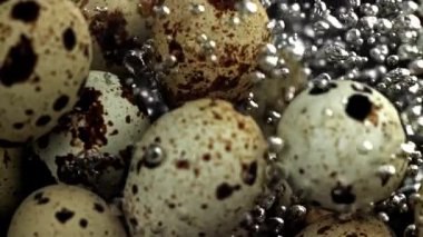 Bıldırcın yumurtaları tencerede kaynatılır. 1000 fps 'de yüksek hızlı bir kamerayla çekildi. Yüksek kaliteli FullHD görüntüler