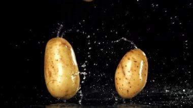 Taze patatesler masaya düşer. 1000 fps 'de yüksek hızlı bir kamerayla çekildi. Yüksek kaliteli FullHD görüntüler