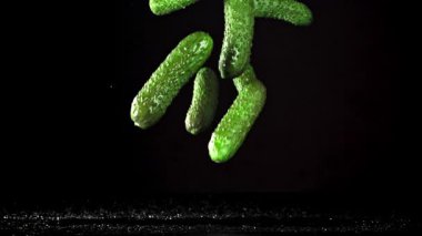 Salatalıklar siyah arka planda masaya düşer. 1000 fps 'de yüksek hızlı bir kamerayla çekildi. Yüksek kaliteli FullHD görüntüler