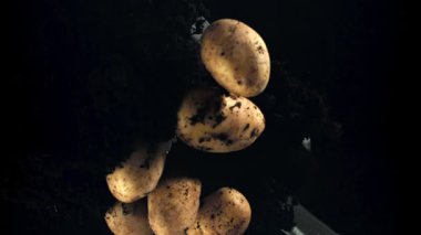 Kürekli patatesler. 1000 fps 'de yüksek hızlı bir kamerayla çekildi. Yüksek kaliteli FullHD görüntüler