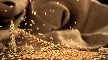 Dikenli taneler masaya düşer. 1000 fps 'de yüksek hızlı bir kamerayla çekildi. Yüksek kaliteli FullHD görüntüler