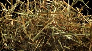 Saman uçar ve siyah bir arka plana düşer. 1000 fps 'de yüksek hızlı bir kamerayla çekildi. Yüksek kaliteli FullHD görüntüler