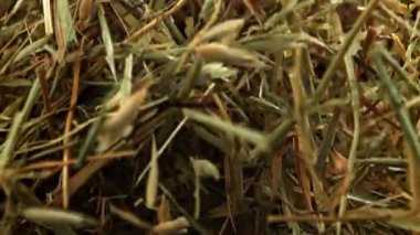 Saman uçar ve siyah bir arka plana düşer. 1000 fps 'de yüksek hızlı bir kamerayla çekildi. Yüksek kaliteli FullHD görüntüler