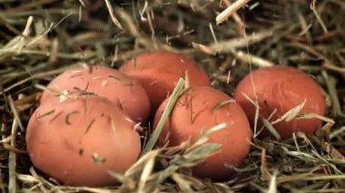 Saman tavuk yumurtasına düşer. 1000 fps 'de yüksek hızlı bir kamerayla çekildi. Yüksek kaliteli FullHD görüntüler